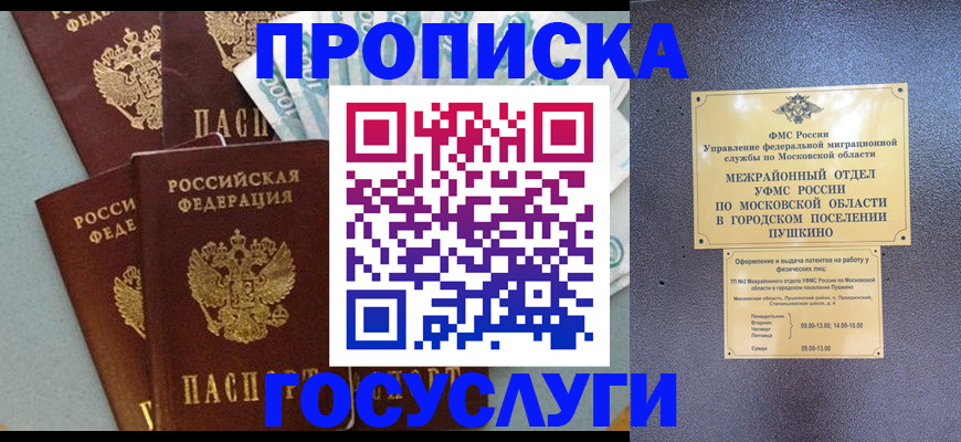прописка гарантия в Фокино